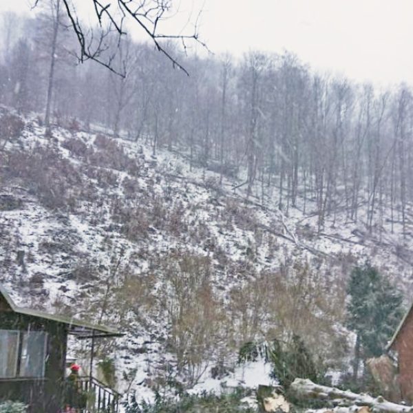 rizikové kácení stromolezeckou technikou