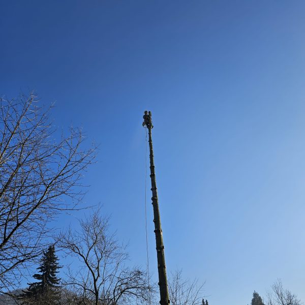 WhatsApp Image 2024-01-11 at 07.36.06_fb0eec4f