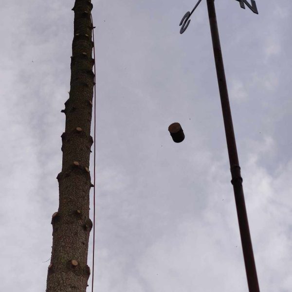 WhatsApp Image 2024-02-06 at 16.17.27_d60d03da